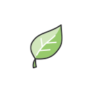 葉っぱのイラスト